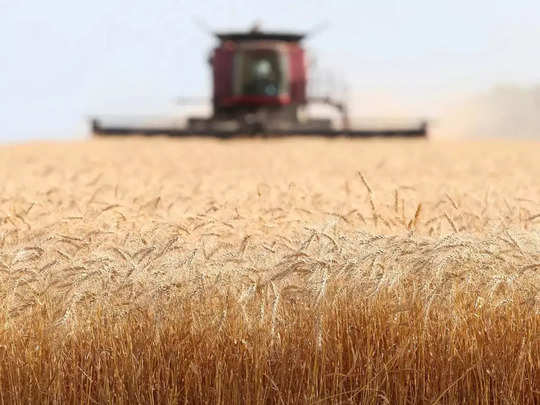 Wheat Export Ban: கோதுமை ஏற்றுமதிக்கு தடை.. இந்தியாவுக்கு அமெரிக்கா அட்வைஸ்! 