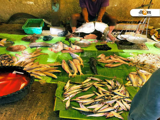 Kolkata Fish Price: মেছো বাঙালির পাতে জোড়া সার্জিক্যাল স্ট্রাইক! কেন দাম বাড়ছে মাছের? 