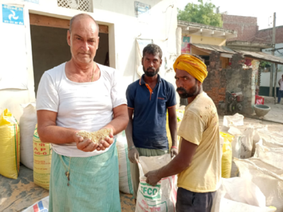 Ghazipur Wheat News: औसत से ज्यादा गर्मी ने गेहूं की फसल को किया खराब, गाजीपुर में 40 प्रतिशत तक ही होगी पैदावार 