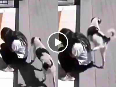 Funny Video: फुटपाथ किनारे बैठी थी महिला, कुत्ता आया और कर दी गंदी हरकत! 