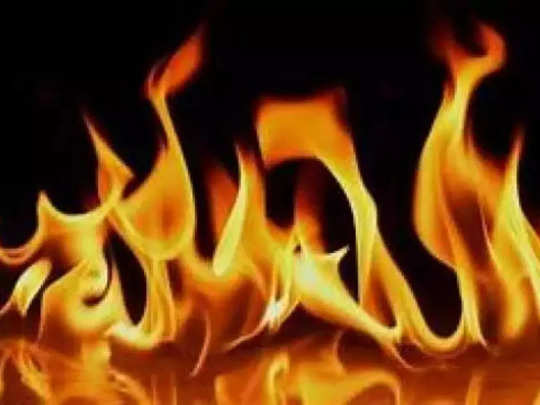 Betul Fire News : ट्रेंचिंग ग्राउंड पर कचरे में लगी आग, 12 घंटे बाद पाया काबू 