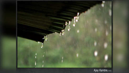 Pre Monsoon Rain: राज्यातील अनेक भागांमध्ये पूर्वमोसमी पावसाची हजेरी; शेतमालाचे नुकसान