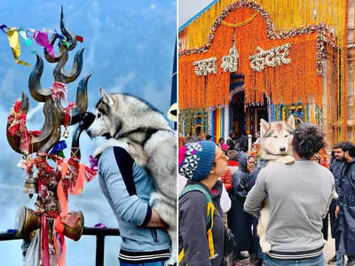 नोएडा का शख्स कुत्ते को ले गया केदारनाथ धाम, मंदिर कमेटी ने दर्ज कराई FIR 