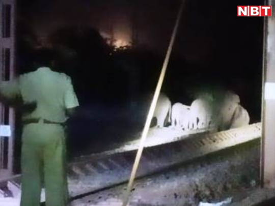 Elephant Accident by Train: मालगाड़ी की चपेट में आने से तीन हाथियों की मौत, कई घंटे तक रेल यातायात ठप 