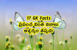 17 GK Facts: ప్రపంచ వింత నిజాలు.. ఆశ్చర్యం తప్పదు
