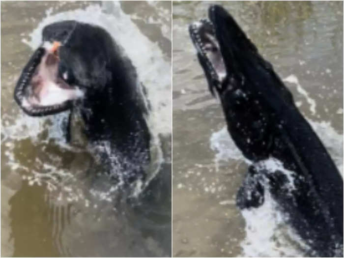 two fisherman caught rare fish pic will shock you