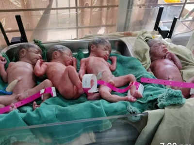 MP News: परिवार को मिली चार गुना खुशी, गर्भवती महिला ने एक साथ चार बच्चों को दिया जन्म