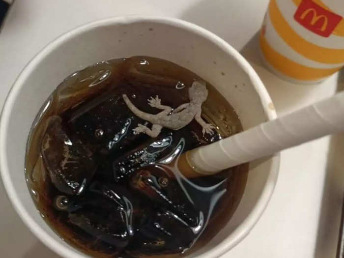 McDonald’s dead lizard cold drink