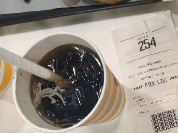 Lizard Found In Mcdonalds Cold Drink