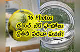 16 Pics: డబుల్ టేక్ ఫొటోలు.. ప్రతీదీ సరదా పజిలే!