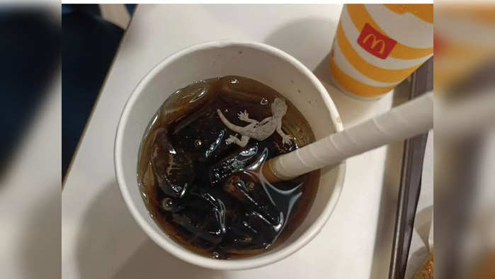 mcdonalds outlet in ahmedabad sealed after lizard found in cold drink<br>