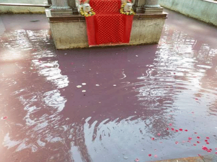 Shree Kheer Bhawani Durga Temple इस मंदिर का पानी हो रहा है लाल, लोग कह रहे हैं कुछ अशुभ होने वाला है