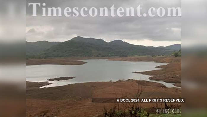 राज्यातील धरणांमध्ये ३७ टक्के जलसाठा, मंत्रिमंडळ बैठकीत माहिती