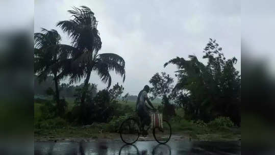 मोठी बातमी, मान्सून केरळमध्ये दाखल, हवामान विभागाची माहिती