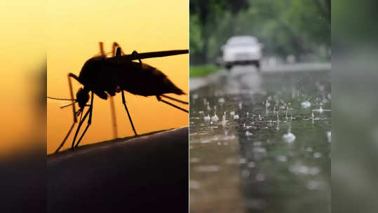 पावसाळी आजारांच्या बंदोबस्ताची तयारी सुरू