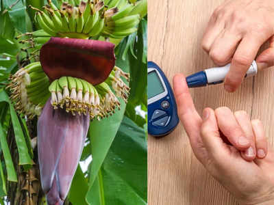 Banana flower for Diabetes: डायबिटीज का तगड़ा इलाज है केले का फूल, तेजी से कम करता है Blood Sugar 