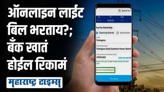 लाईट बिल भरलं नाहीए? बिल अपडेटसाठी २० रुपये भरले अन् बँक खात्यातून ४६ हजार गायब