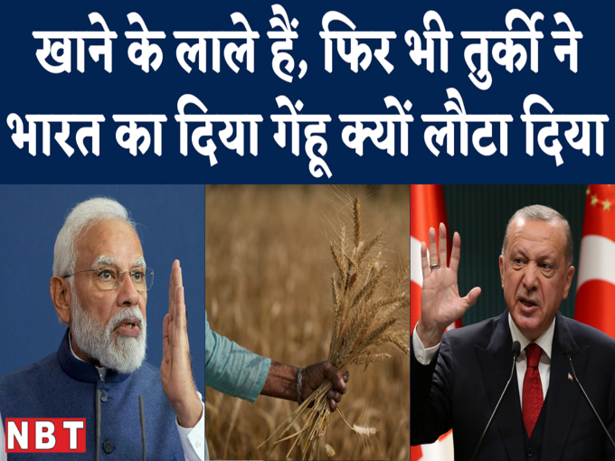 Turkey rejects Indian Wheat : भारत ने बड़प्पन दिखाकर गेंहू दिया, तुर्की ने बेतुकी वजह देकर लौटा दिया