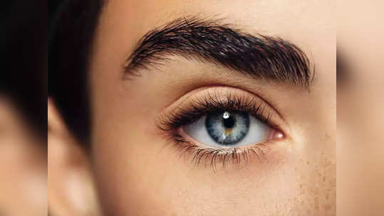 Dark Circles : ग्रीन टीची बॅग फेकून देताय ? थांबा, डार्क सर्कल्सच्या समस्येवर हाच आहे रामबाण उपाय