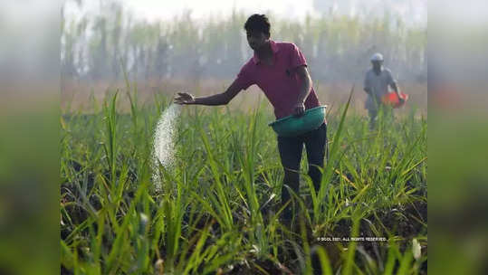 राज्यात खते, बियाणांचा तुटवडा नाही; शेतकऱ्यांनी अफवांवर विश्वास ठेवू नये : कृषी विभाग