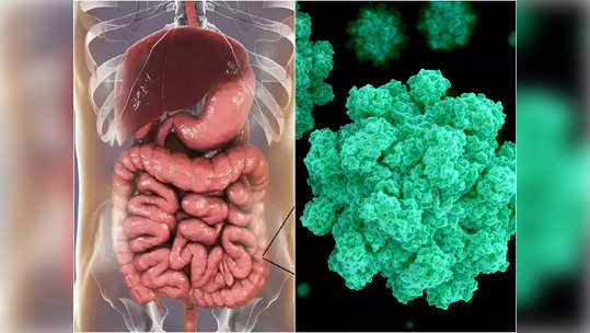 Covid Symptoms : आठवडा किंवा दहा दिवस नाही तर चक्क २ वर्ष राहतात कोरोनाची 'ही' ५ लक्षणे, अर्धवट उपचार जीवावर बेतेल