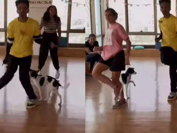 dog dancing