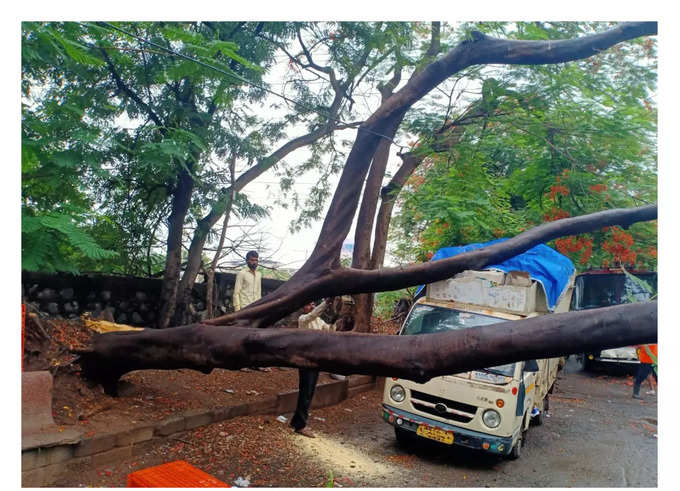 ठाणे जिले के मजीवाड़ा में पेड़ उखड़कर टेंपो पर गिरा