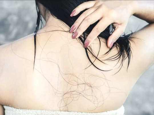 Hair Growth Tips: टूट-टूटकर पतली बेल बन गए हैं आपके बाल, तो ये 5 जड़ी बूटियां आएंगी काम 