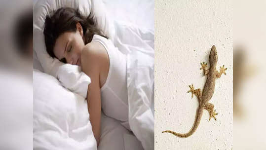 Dream About Lizard: स्वप्नात पाल दिसण्याचाही खास आहे अर्थ,जाणून घ्या