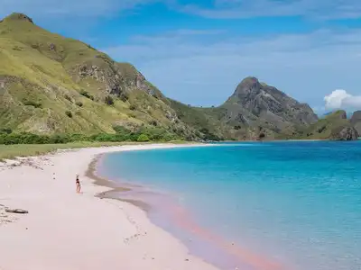 ലോകത്തിലെ അതിശയിപ്പിക്കുന്ന റോമാന്റിക്ക് പിങ്ക് സാന്‍ഡ് ബീച്ചുകളെക്കുറിച്ച് അറിയാം
