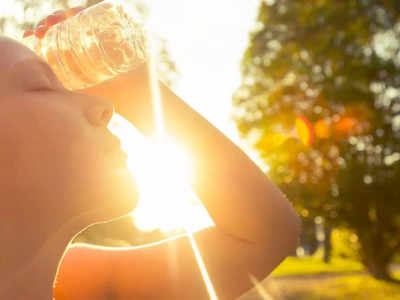 Summer tips: चुभती जलती गर्मी से बचने के लिए हर रोज करें ये 4 उपाय, आयुर्वेद एक्सपर्ट ने बताया शरीर रहेगा अंदर से कूल 