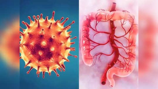 <strong>COVID 4th wave symptoms : </strong>करोनाने पुन्हा केले भंयकर रूप धारण, एकसाथ 13000 लोक विळख्यात, चौथ्या लाटेत दिसतायत ‘ही’ 6 गंभीर लक्षणं..!