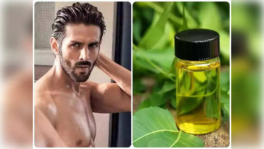 <strong>Hair Oils for Baldness : </strong>पुरूषांनो, कधीच पडणार नाही टक्कल आणि गेलेले केसही येतील परत, ताबडतोब लावायला घ्या ‘ही’ हेअर ऑइल्स..!