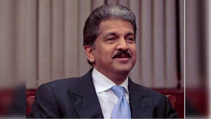 Anand Mahindra: घरेलू स्नैक्स बेचकर 1.4 करोड़ कमा रही महिला, आनंद महिंद्रा ने कही यह बात, सक्सेस स्टोरी जानकर दंग रह जाएंगे आप