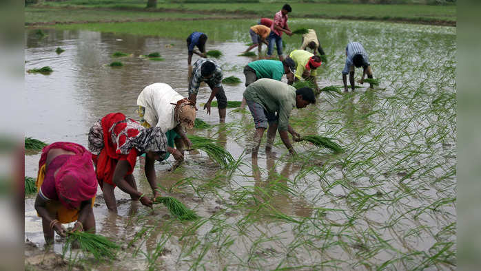 पंतप्रधान किसान सन्मान निधीचा ११ वा हफ्ता मिळाला नाही