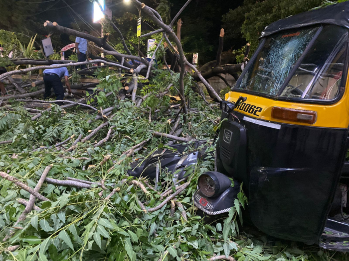 Maharashtra Pune Rain News 2 injured Damage to 4 vehicles in Pune tree fall (1)