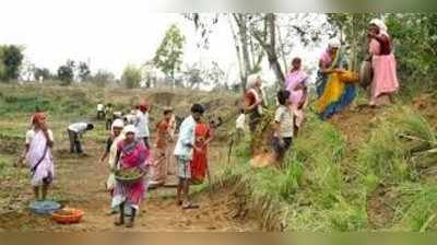 रोजगार हमी योजनेतून महाराष्ट्रातील तरुणांना रोजगार कसा मिळतो? जाणून घ्या फायदे