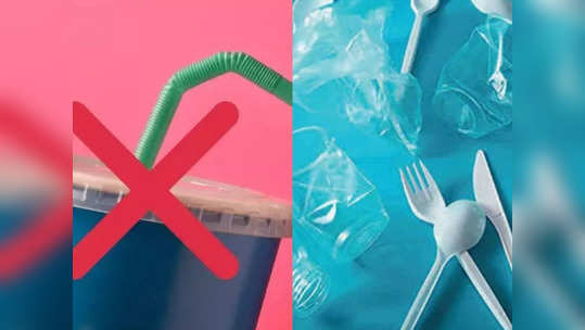 Single-Use Plastic Ban: सिंगल यूज प्लॅस्टिकवर बंदी, १ जुलैपासून तुमच्या दररोजच्या वापरावर काय होणार परिणाम