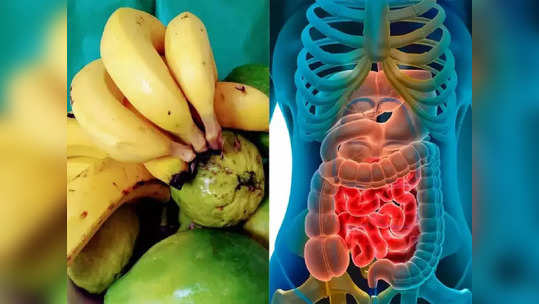 <strong>Wrong Fruit Combination : </strong>सावधान, फळांसोबत ‘हे’ 5 पदार्थ खाल्ल्यास पोटात बनतं विष, चुकूनही एकत्र खाऊ नका, जीव येईल धोक्यात..!