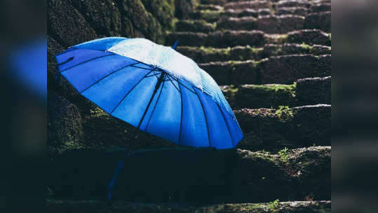 या स्मॉल साईजच्या Umbrella तुम्हाला पावसासोबत उन्हातही ठेवतील सुरक्षित, किंमत खूपच कमी