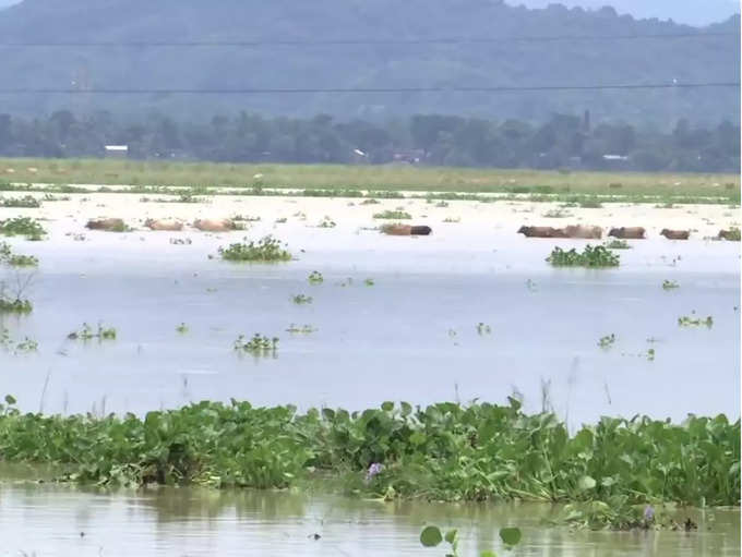 असम में बाढ़ से कई इलाके, गांव जलमग्न