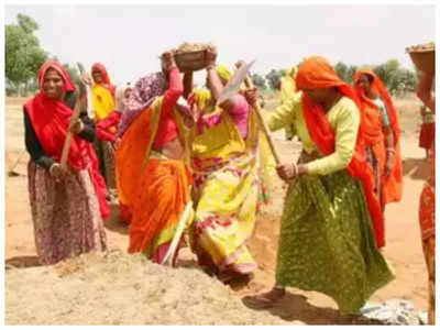 Bundelkhand News: मनरेगा रोजगार गारंटी योजना में पुरुषों से आगे निकलीं महिलाएं, कंधे से कंधा मिलाकर ले रहीं काम 