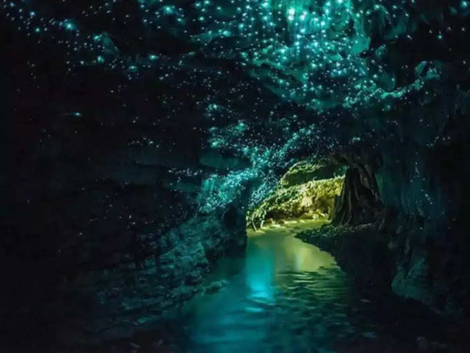 ​वैटोमो ग्लोवर्म गुफा