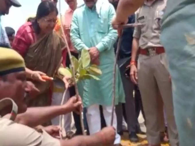 बस्ती में मंत्री बेबी रानी मौर्या ने रोपे पौधे