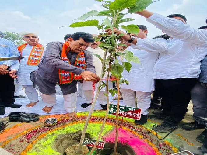 अलीगढ़ में मंत्री ए के शर्मा ने लगाया पेड़