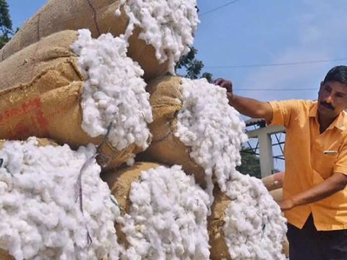 cotton farmers
