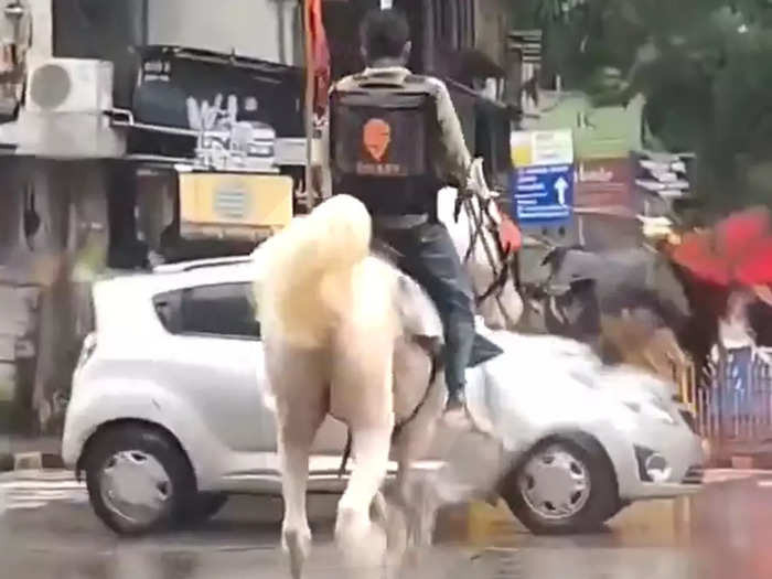 due to heavy rainfall in mumbai, swiggy delivery executive uses horse instead of bike, now company searching for him to reward