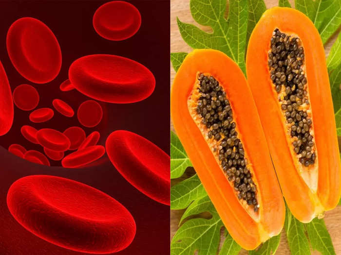 according to several research 5 types of food that can increase platelet count naturally in dengue patients