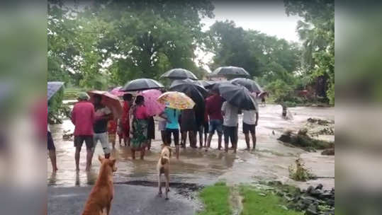 गडचिरोलीला मुसळधार पावसाचा तडाखा, अनेक भागांचा संपर्क तुटला