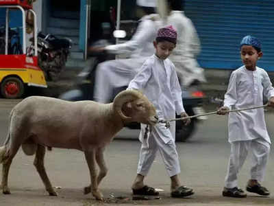 Eid Al  Adha: महंगाई का असर बकरा मंडी पर भी, इस बार चार लाख में मिल रहा है ड्राइ फ्रूट खाने वाला बकरा